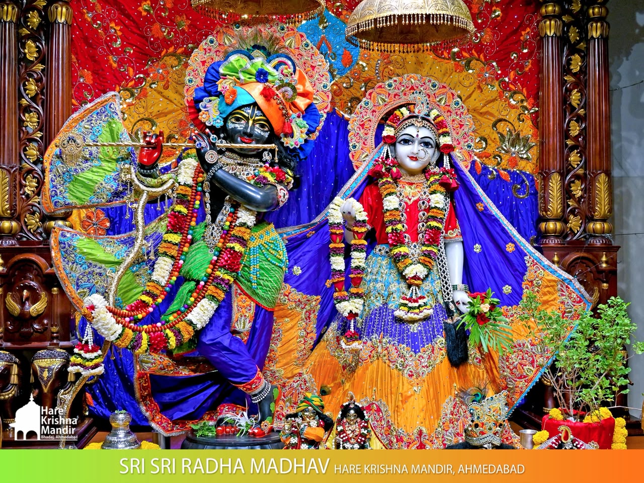 2026-08-20 Darshan